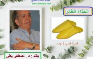 قصة قصيرة : الحذاء الطائر / بقلم : د . مصطفى يعلى