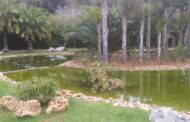 حديقة التجارب النباتية بالرباط  ( JARDIN D'ESSAIS BOTANIQUE ) / بقلم وعدسة : أسماء التمالح