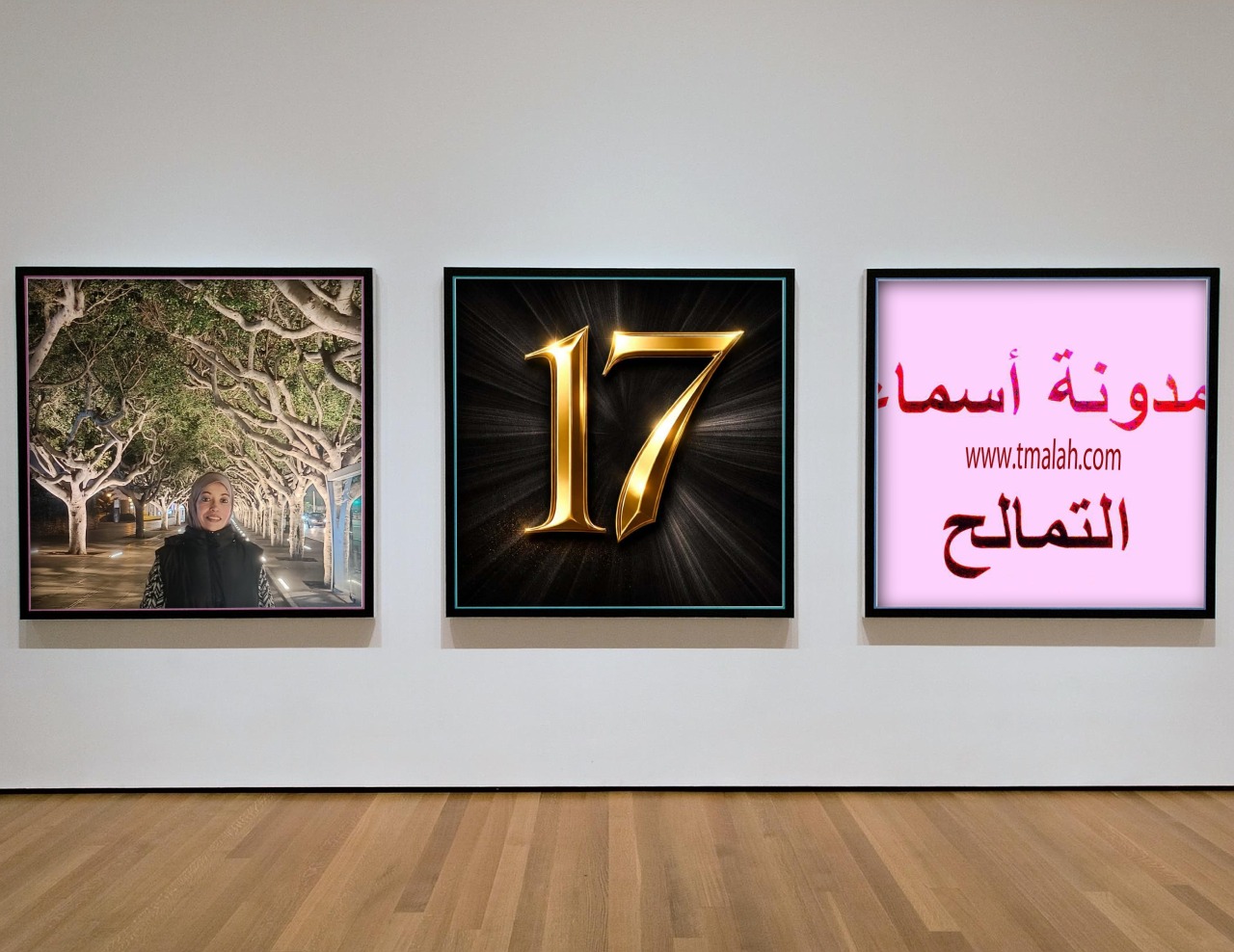 الذكرى ال 17 لميلاد مدونة أسماء التمالح ( القلم البريء )